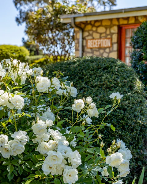 Ramabanta Trading Post