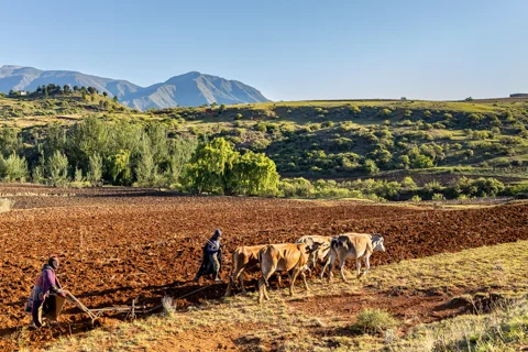 Things to Do & See | Ramabanta Trading Post